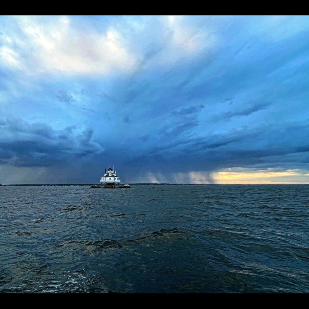 Meet your Posher, Daniela